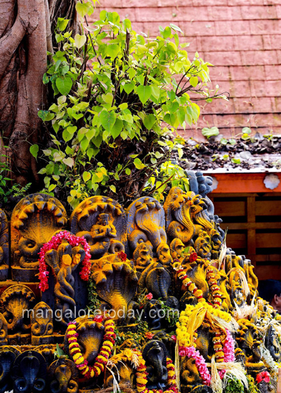 Nagara Panchami